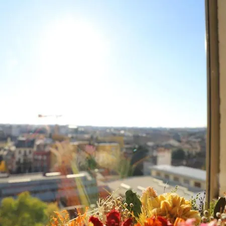 Stelle Di - Andromeda ヴェローナ