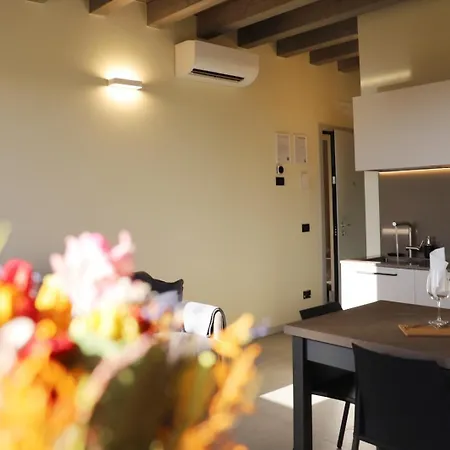 Stelle Di - Andromeda ヴェローナ